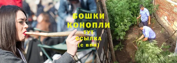 герыч Бронницы